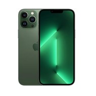 Apple iPhone 13 Pro (Renewed)